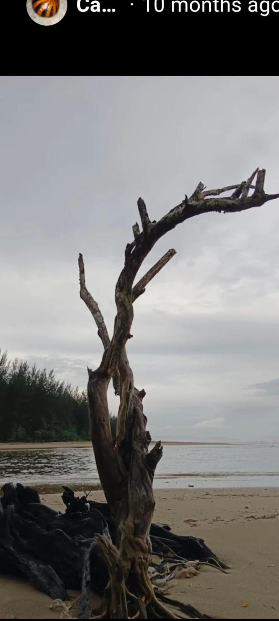 SematanThe Mangrove别墅 外观 照片