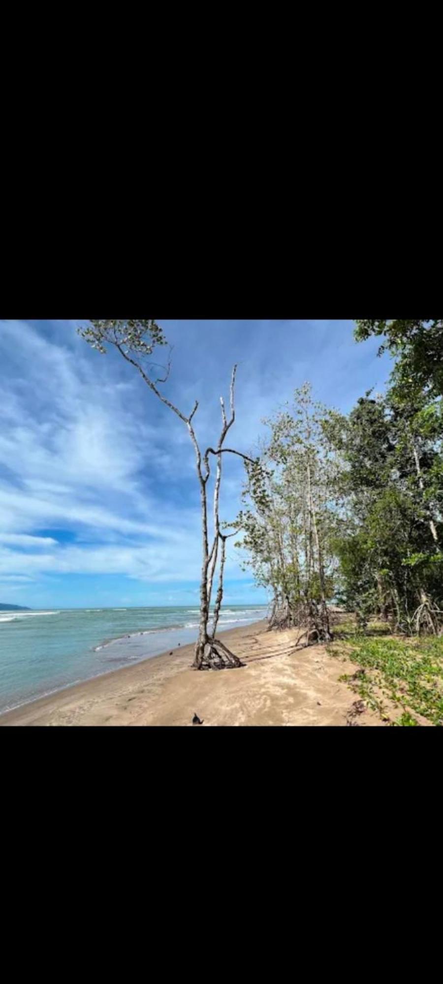 SematanThe Mangrove别墅 外观 照片